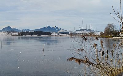 Naturnahe Umgebung vor Alpen-Hintergrund